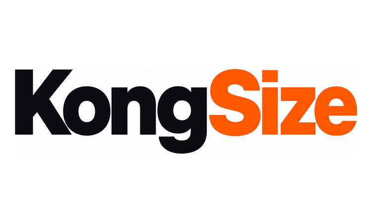 Available Business Name For Sale - KongSize